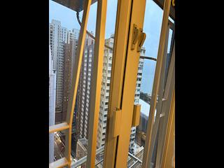 Shek Tong Tsui - King's Building 09