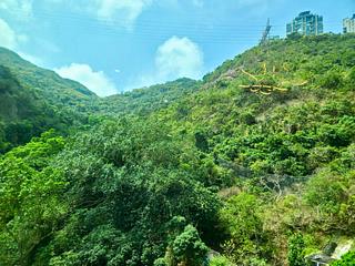 東半山 - 豐樂新邨 03