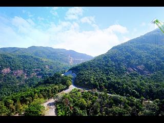 Jardines Lookout - 111, Mount Butler Road 31