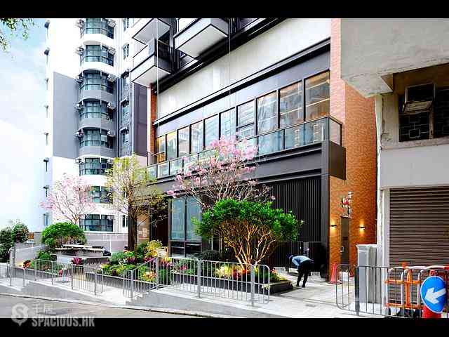 Shek Tong Tsui - The Hilltop 26