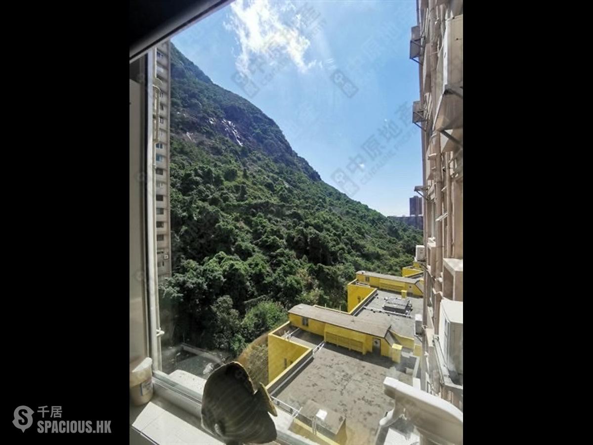 中半山 - 美景台 01