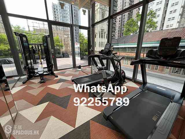 Sai Ying Pun - 15 Western Street 07
