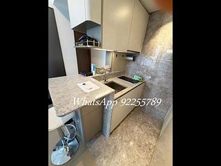 Sai Ying Pun - 15 Western Street 04