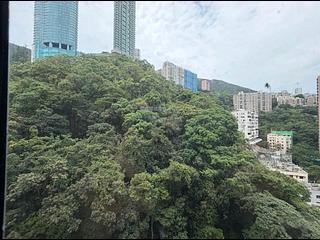 跑马地 - Shan Kwong Towers 02