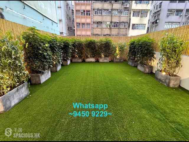 Sai Ying Pun - Wah Lee Building 04