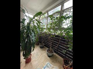 Mid Levels Central - Botanic Terrace 04
