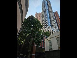 Tai Hang - Warrenwoods 06