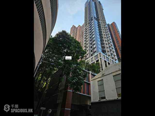 Tai Hang - Warrenwoods 06