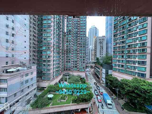 上环 - 赖恩楼 12