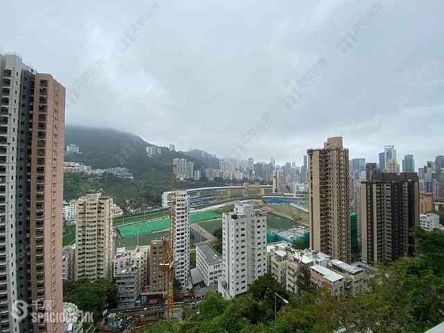 跑马地 - 乐天峰 08