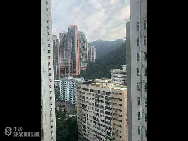 中半山 - 羅便臣道31號 13