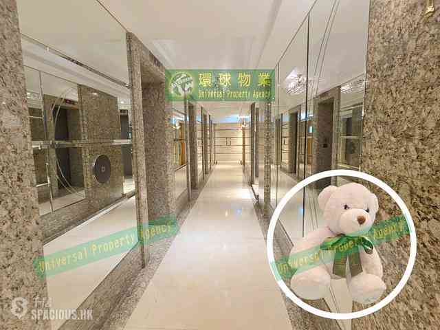 坚尼地城 - 高逸华轩 17