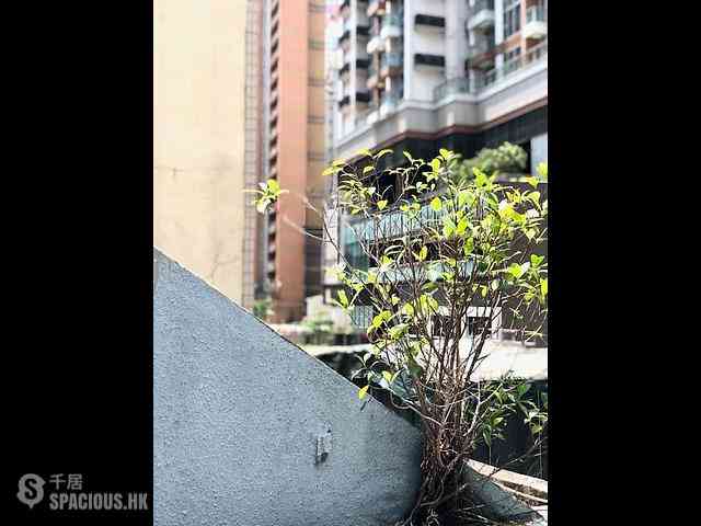 Central - 80, Stanley Street 21