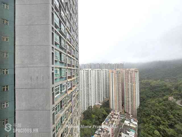 Quarry Bay - Kornville 11