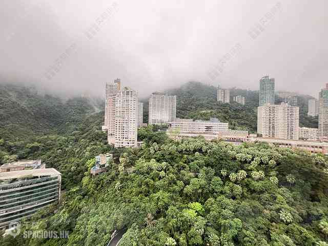 東半山 - 御花园 02