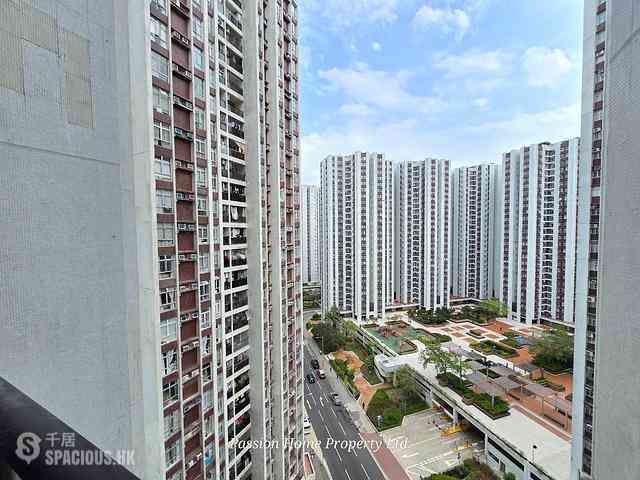 Tai Koo Shing - Tai Koo Shing 14