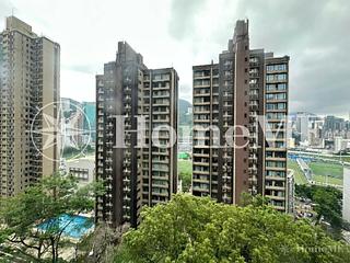跑马地 - 乐活台 05
