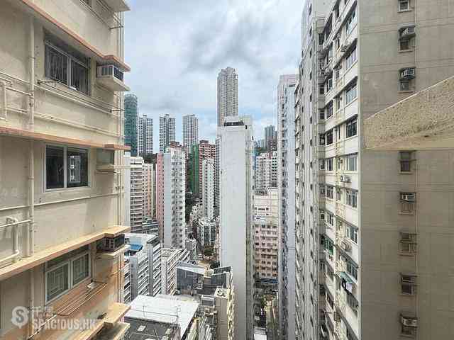 Happy Valley - Horace Court 05
