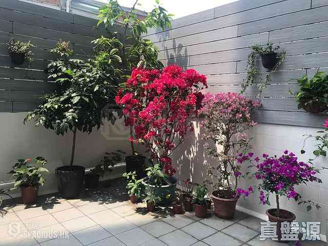 North Point - City Garden 01