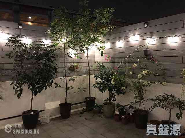 North Point - City Garden 04