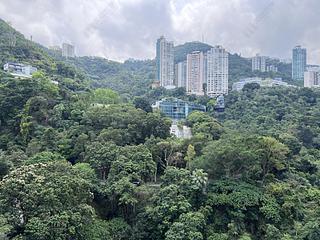 Wan Chai - Star Crest Block 1 12