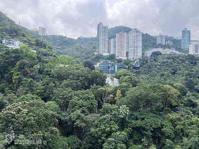 Wan Chai - Star Crest Block 1 12