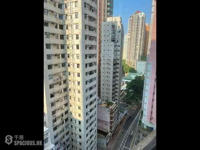 西营盘 - 金凤阁 03