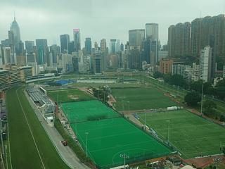 Happy Valley - Fortuna Court 13