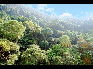 西半山 - 宝城大厦 37