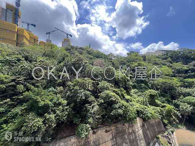 薄扶林 - 碧瑶湾22座 01