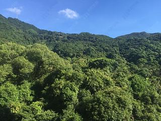 西半山 - 杏彤苑 02