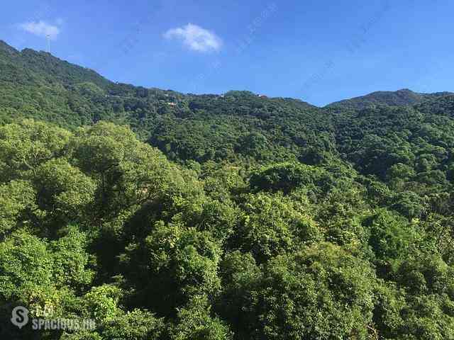 西半山 - 杏彤苑 02