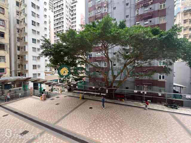 Sai Ying Pun - Wah Fai Court 07