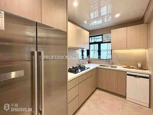 Mid Levels Central - Elegant Terrace 09