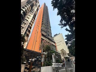 Shek Tong Tsui - The Hilltop 08