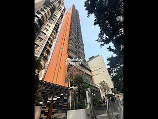 Shek Tong Tsui - The Hilltop 08