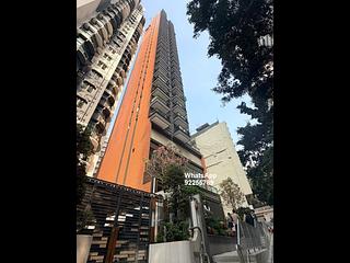Shek Tong Tsui - The Hilltop 11