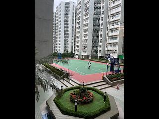 Whampoa Garden - Whampoa Garden Phase 2 Cherry Mansions Block 11 06