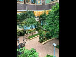 Shek Tong Tsui - The Belcher's Phase 2 Tower 5 03