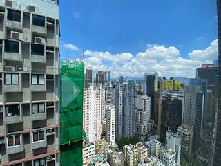 Poho - Rich View Terrace 03