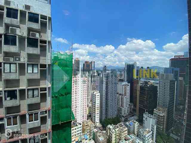 Poho - Rich View Terrace 03