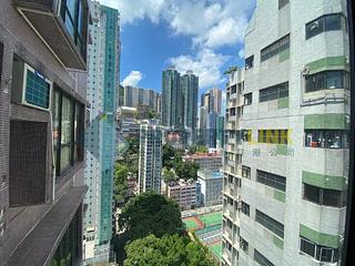 Poho - Rich View Terrace 04