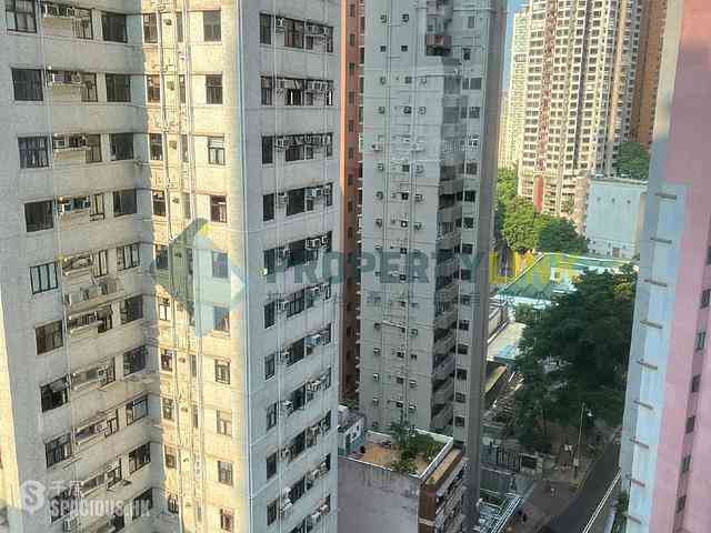 Sai Ying Pun - Golden Phoenix Court 10