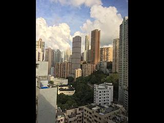 Sai Ying Pun - Cheery Garden 02