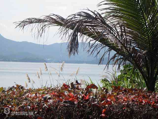 Clear Water Bay - Island View 01