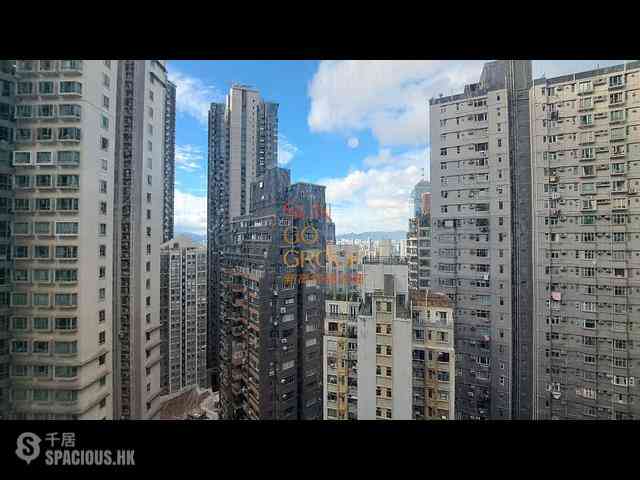 Mid Levels Central - 62B, Robinson Road 14