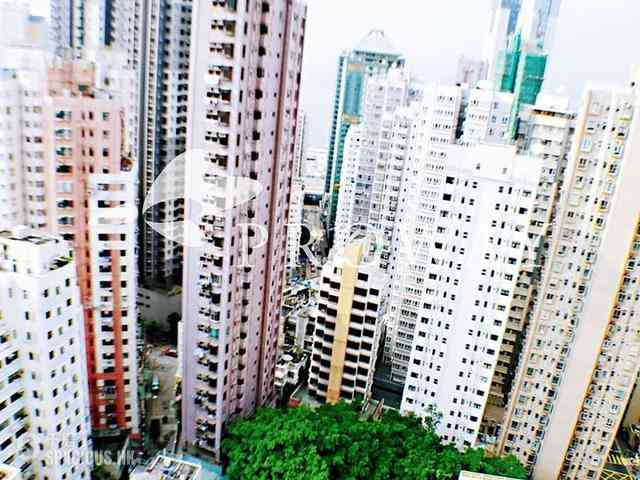 Sai Ying Pun - The Summa 02