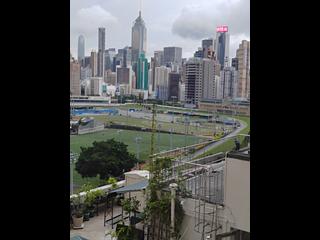跑馬地 - 金鞍大廈 02