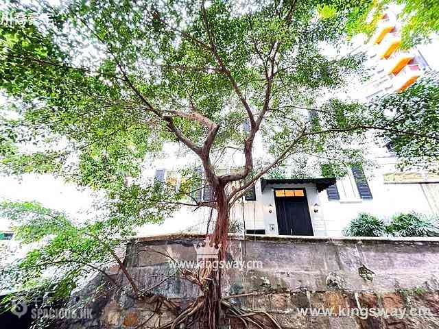 Mid Levels Central - Sung Tak Mansion 03