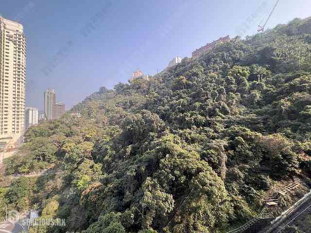 東半山 - 寶雲閣 27